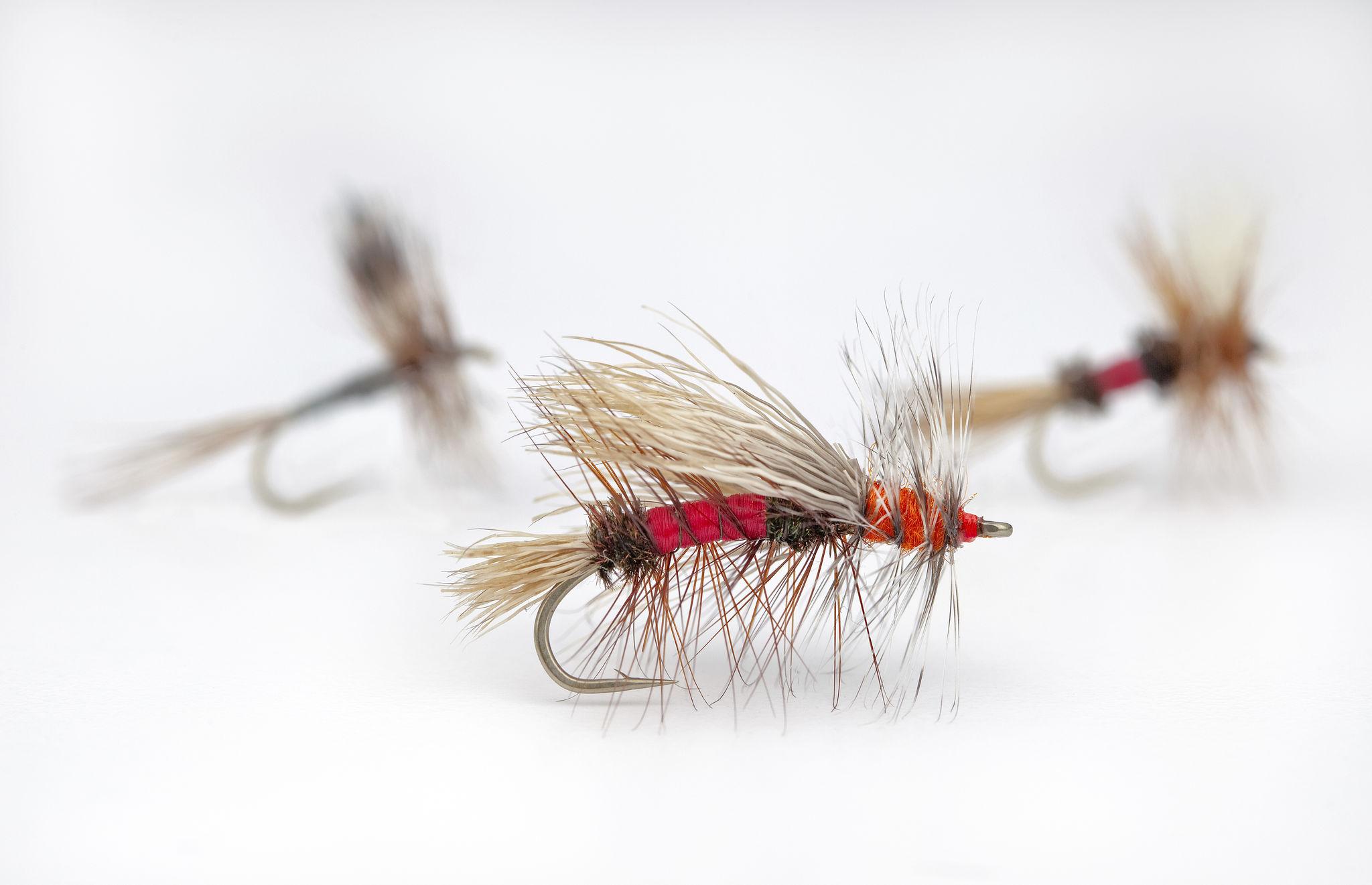 Dry fly lure