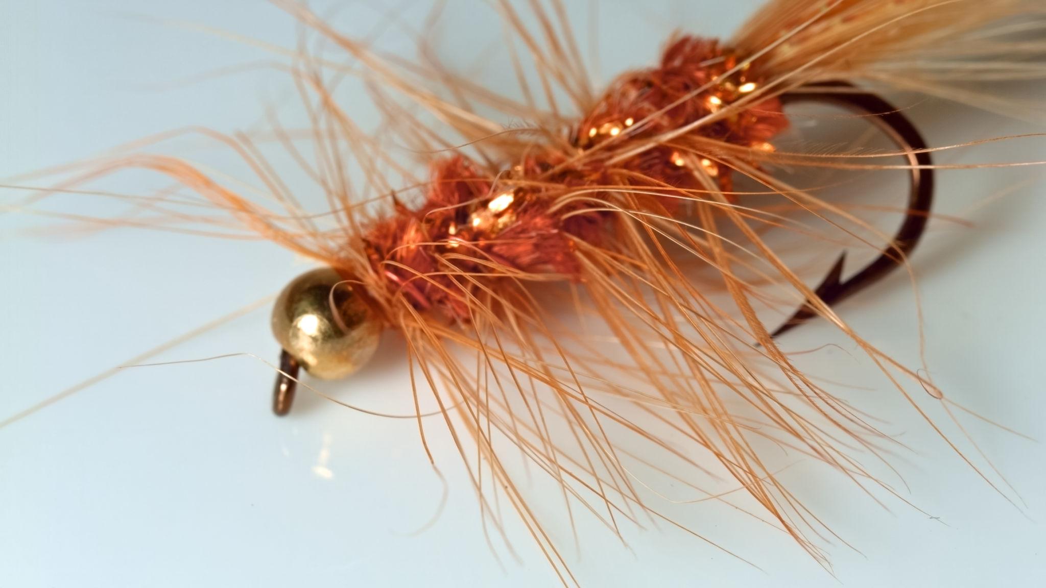 Copper nymph fly