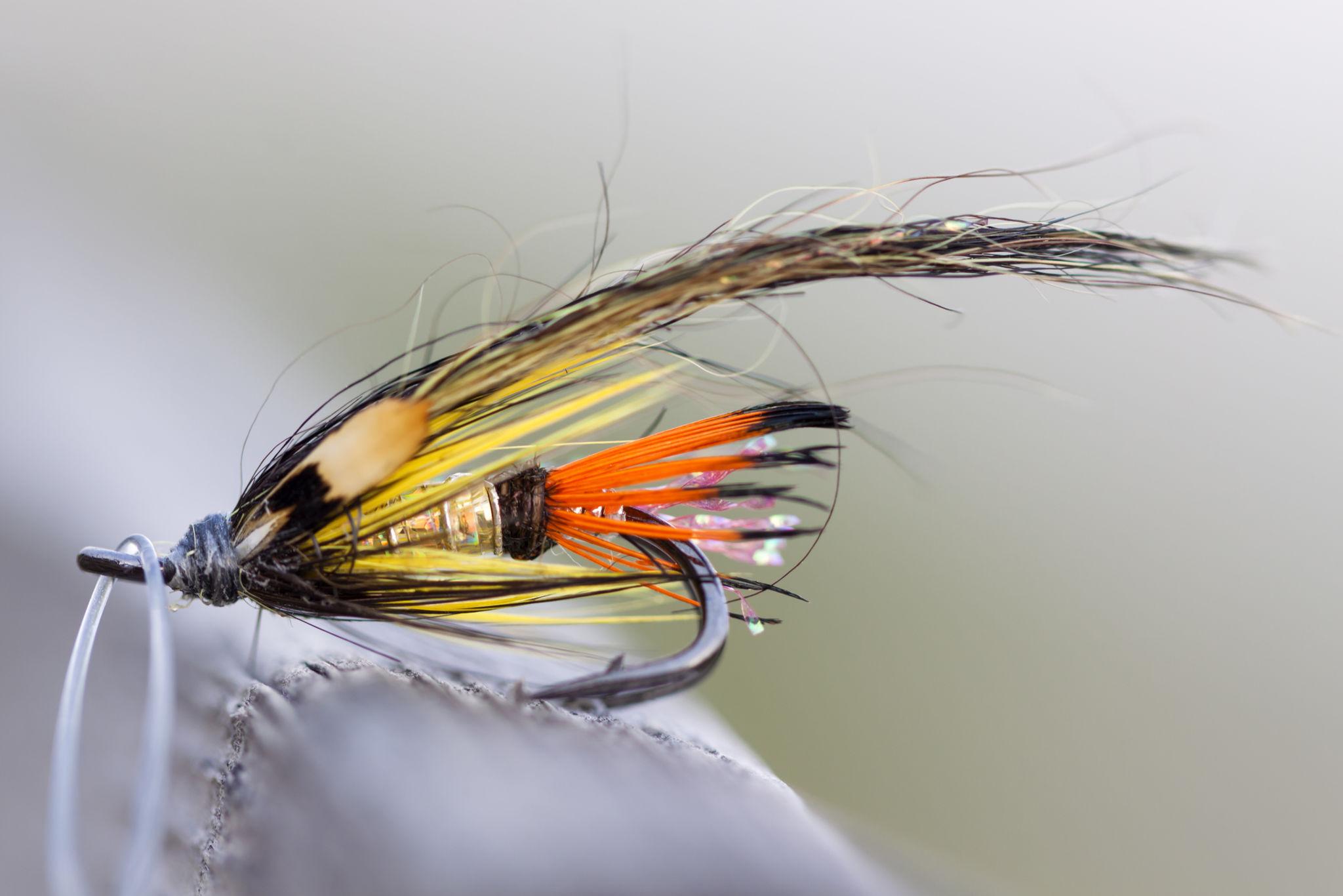 Classic salmon fly